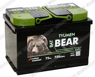 Автомобильный аккумулятор 6СТ-75.1 VLA - фото