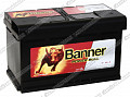 Banner Power Bull P84 40